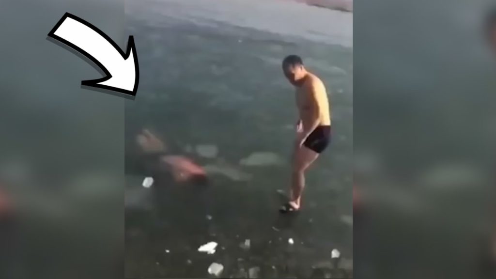 10 Minutes of Unbelievable Moments caught on Video!