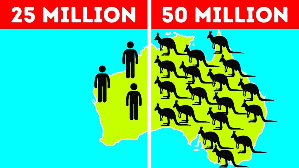 50 Surprising Facts about Australia that break all the Stereotypes