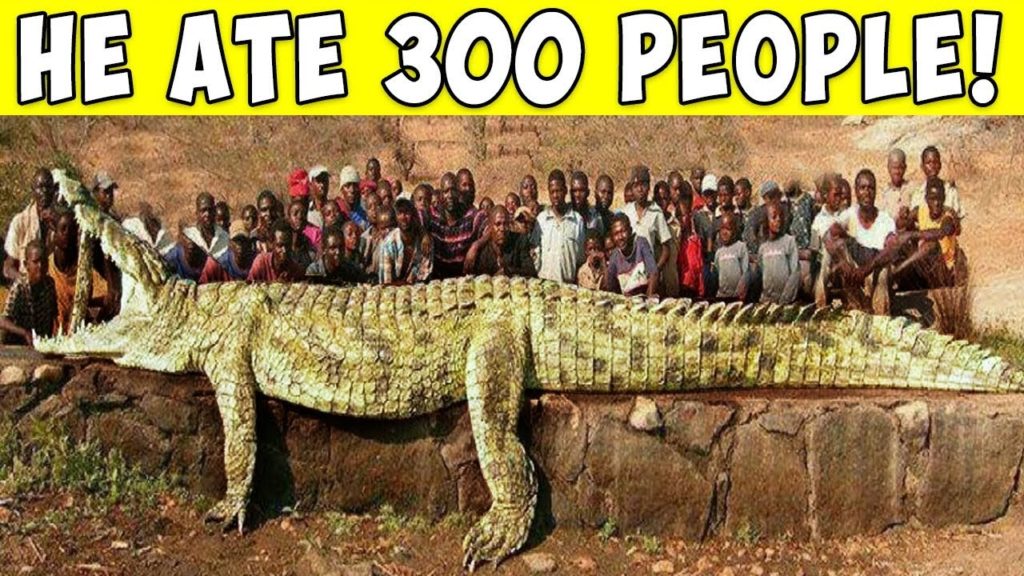 8 Most Dangerous Animals in History