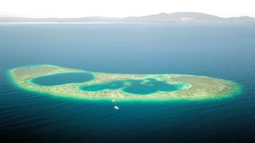 Divers researching Marine Life accidentally discovered an Amazing New Blue Hole